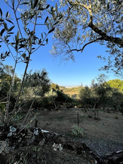 Villa Maria, Casa Rural En Cazalla De La Sierra. Esterno foto